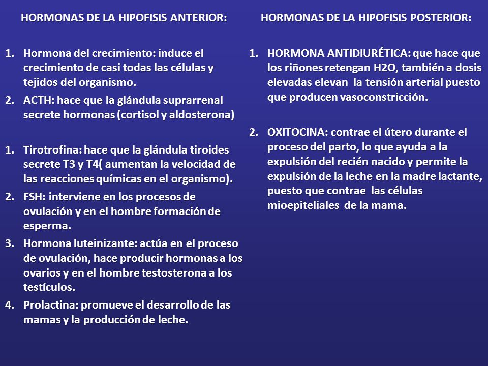 HORMONAS DE LA HIPOFISIS ANTERIOR: HORMONAS DE LA HIPOFISIS POSTERIOR: