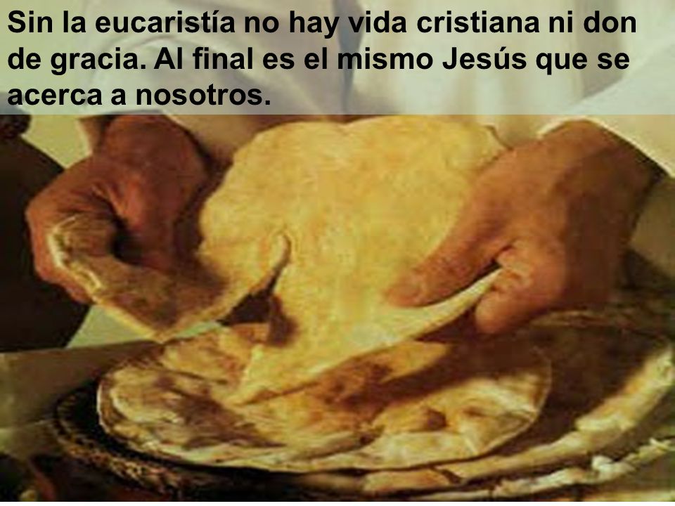 Sin la eucaristía no hay vida cristiana ni don de gracia