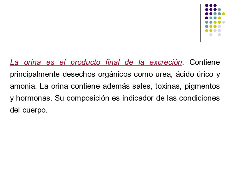 La orina es el producto final de la excreción