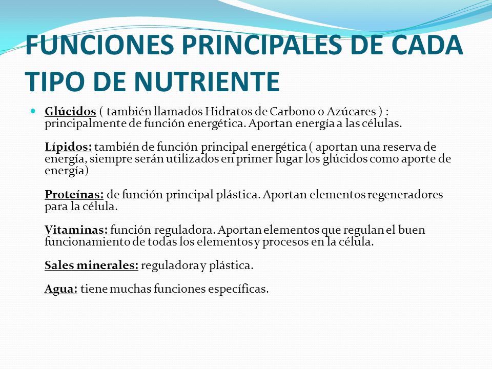 FUNCIONES PRINCIPALES DE CADA TIPO DE NUTRIENTE