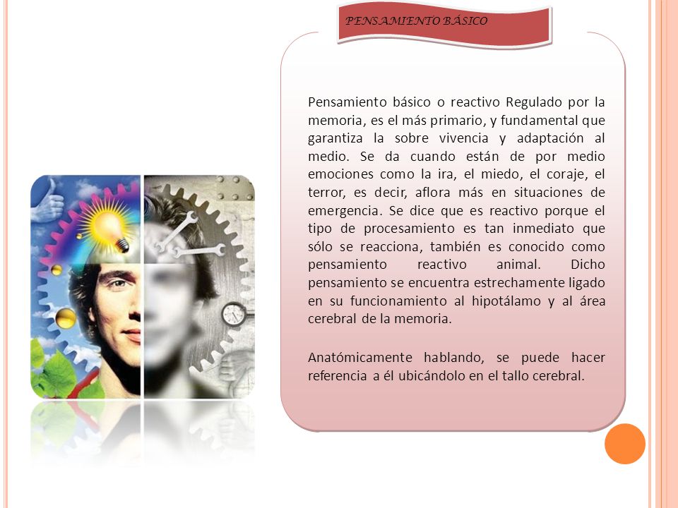 Pensamiento básico o reactivo Regulado por la memoria, es el más primario, y fundamental que garantiza la sobre vivencia y adaptación al medio. Se da cuando están de por medio emociones como la ira, el miedo, el coraje, el terror, es decir, aflora más en situaciones de emergencia. Se dice que es reactivo porque el tipo de procesamiento es tan inmediato que sólo se reacciona, también es conocido como pensamiento reactivo animal. Dicho pensamiento se encuentra estrechamente ligado en su funcionamiento al hipotálamo y al área cerebral de la memoria.