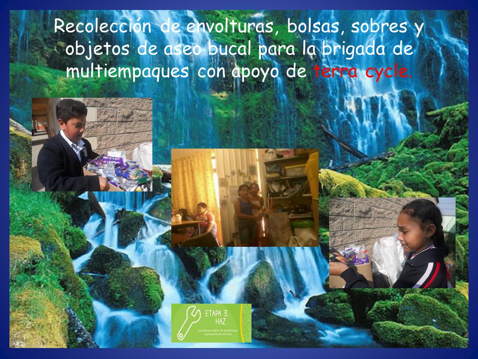 Recolección de envolturas, bolsas, sobres y objetos de aseo bucal para la brigada de multiempaques con apoyo de terra cycle.