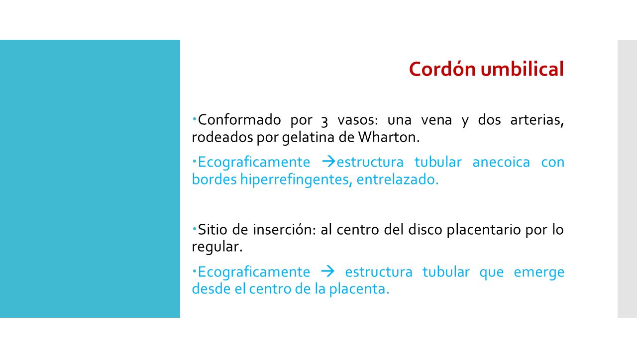 Cordón umbilical Conformado por 3 vasos: una vena y dos arterias, rodeados por gelatina de Wharton.