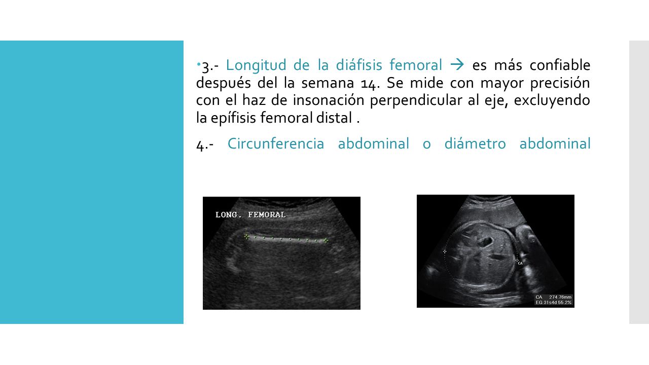 3.- Longitud de la diáfisis femoral  es más confiable después del la semana 14. Se mide con mayor precisión con el haz de insonación perpendicular al eje, excluyendo la epífisis femoral distal .