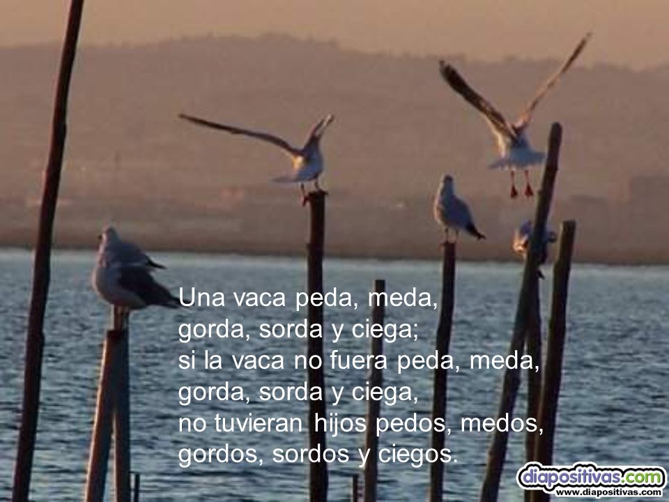 Una vaca peda, meda, gorda, sorda y ciega; si la vaca no fuera peda, meda, gorda, sorda y ciega, no tuvieran hijos pedos, medos, gordos, sordos y ciegos.