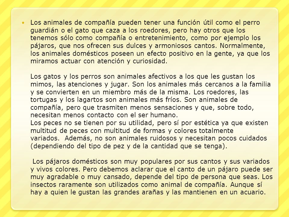 Los animales de compañía pueden tener una función útil como el perro guardián o el gato que caza a los roedores, pero hay otros que los tenemos sólo como compañía o entretenimiento, como por ejemplo los pájaros, que nos ofrecen sus dulces y armoniosos cantos.