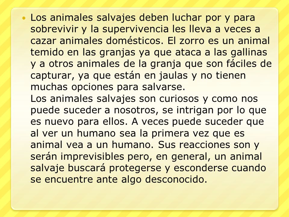 Los animales salvajes deben luchar por y para sobrevivir y la supervivencia les lleva a veces a cazar animales domésticos.