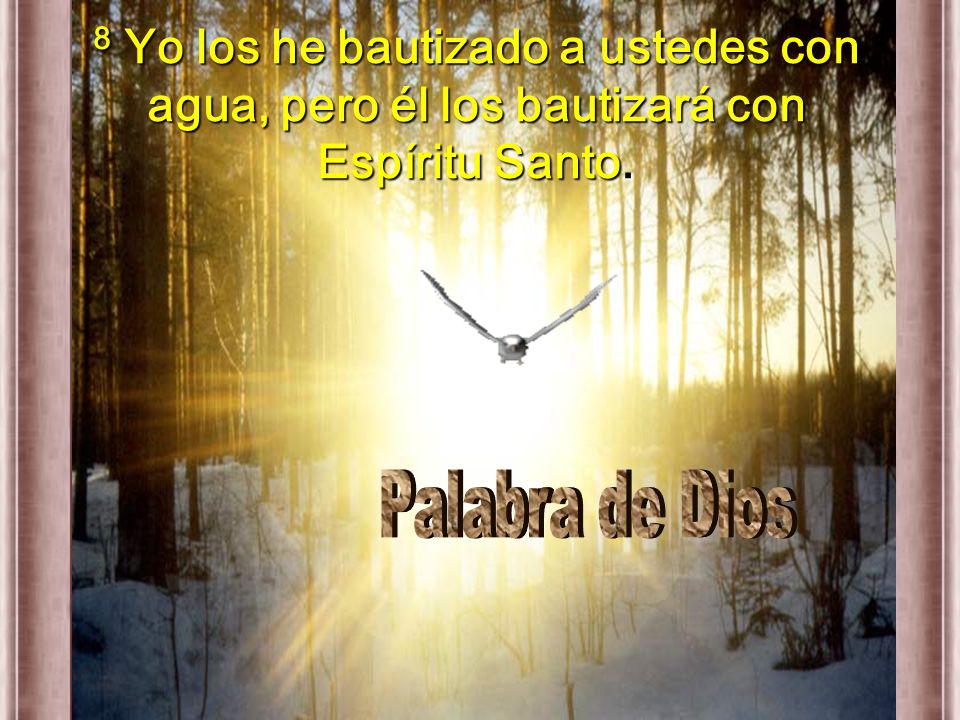 8 Yo los he bautizado a ustedes con agua, pero él los bautizará con Espíritu Santo.