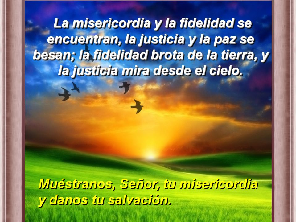 La misericordia y la fidelidad se encuentran, la justicia y la paz se besan; la fidelidad brota de la tierra, y la justicia mira desde el cielo.
