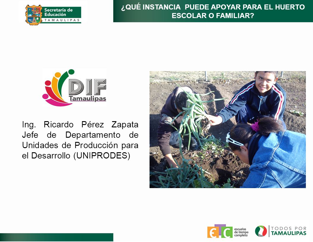 ¿QUÉ INSTANCIA PUEDE APOYAR PARA EL HUERTO ESCOLAR O FAMILIAR