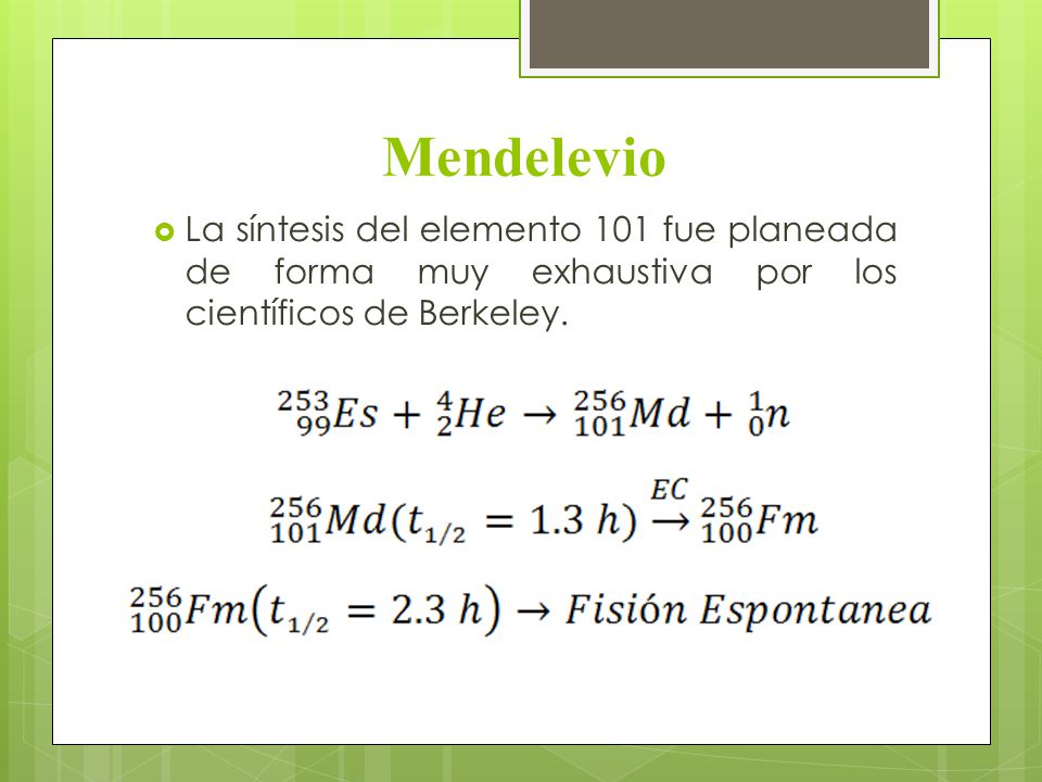 Mendelevio La síntesis del elemento 101 fue planeada de forma muy exhaustiva por los científicos de Berkeley.