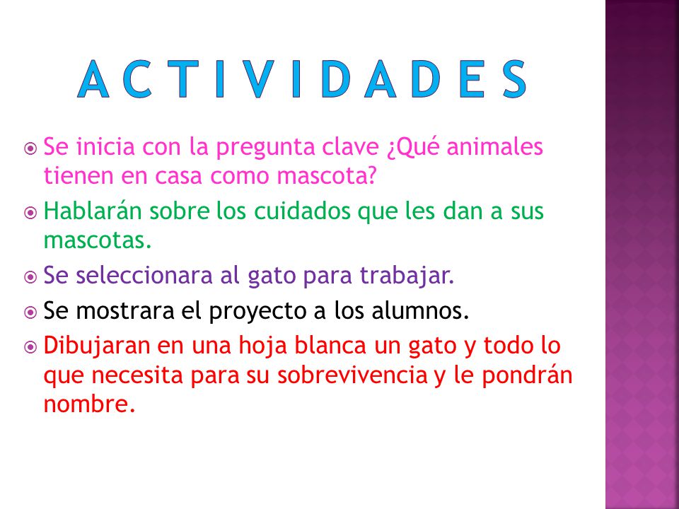 A C T I V I D A D E S Se inicia con la pregunta clave ¿Qué animales tienen en casa como mascota
