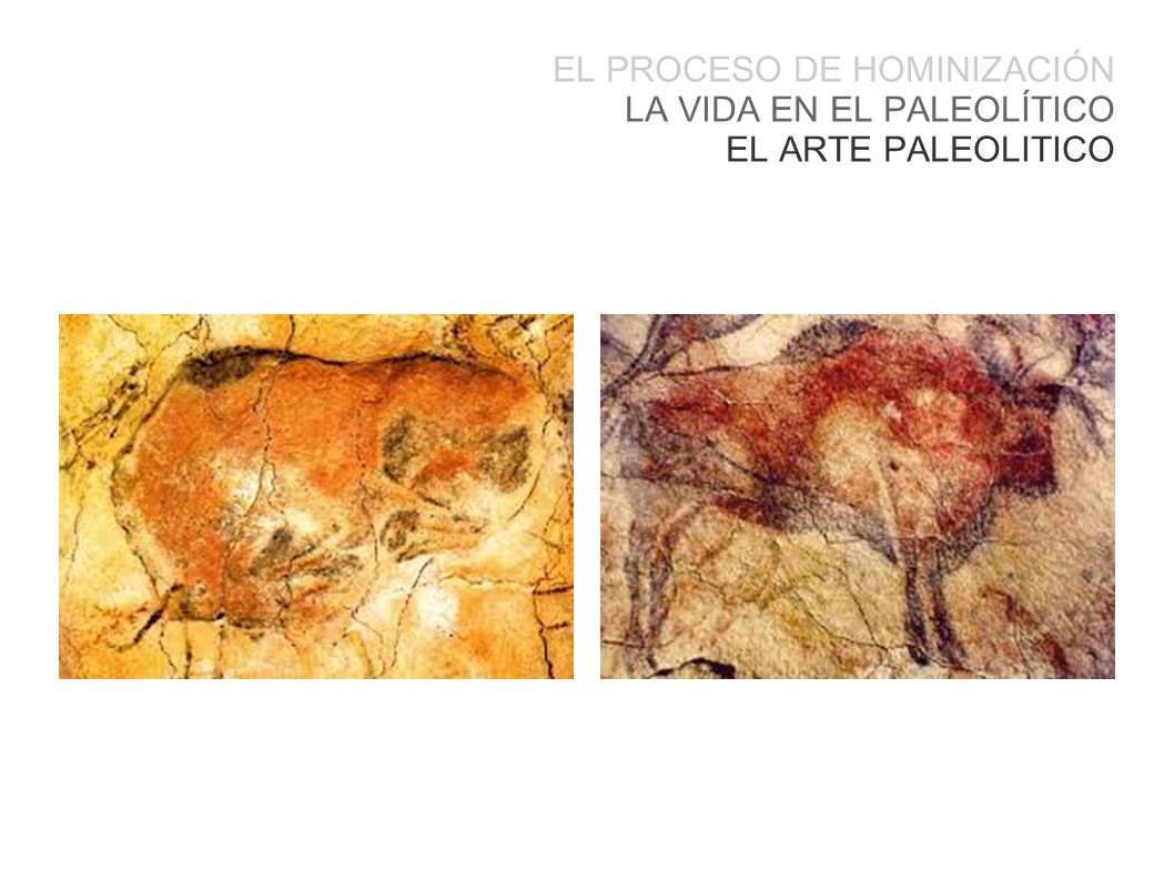 EL PROCESO DE HOMINIZACIÓN LA VIDA EN EL PALEOLÍTICO EL ARTE PALEOLITICO