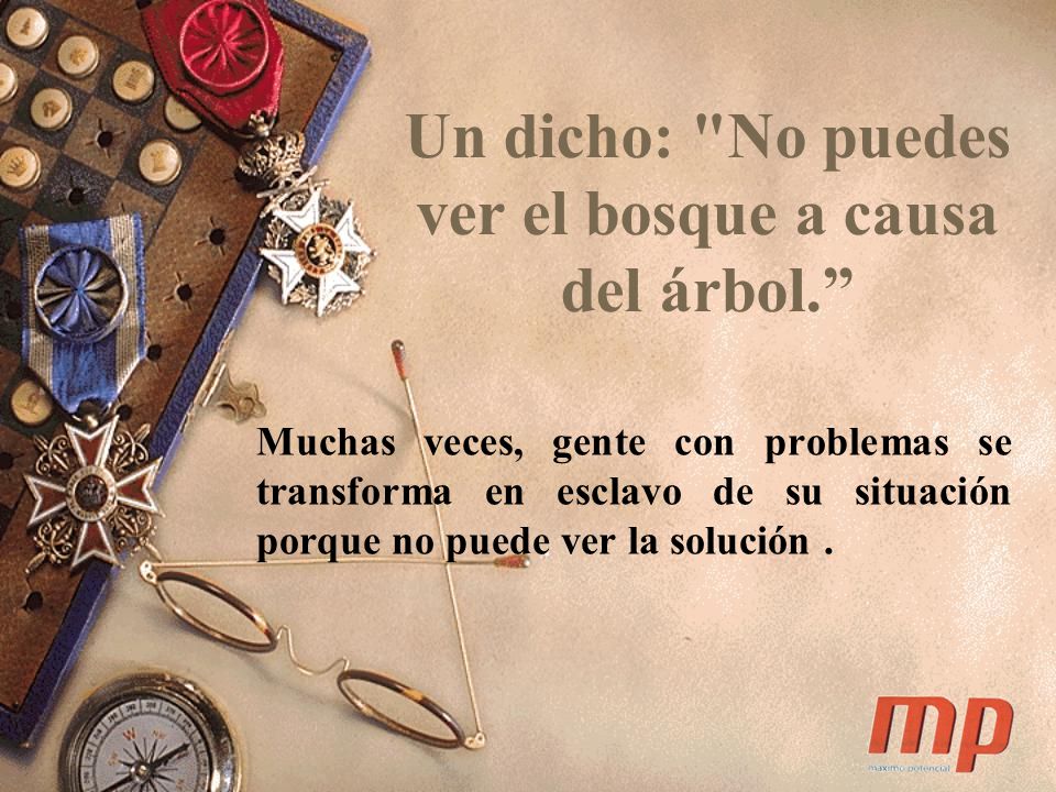 Un dicho: No puedes ver el bosque a causa del árbol.
