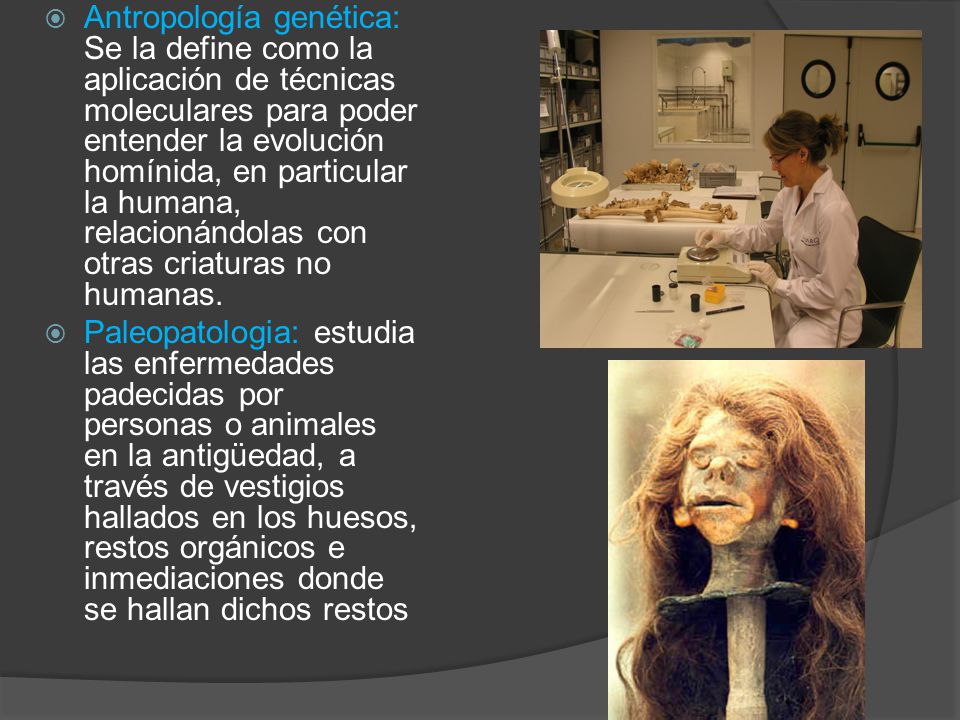 Antropología genética: Se la define como la aplicación de técnicas moleculares para poder entender la evolución homínida, en particular la humana, relacionándolas con otras criaturas no humanas.