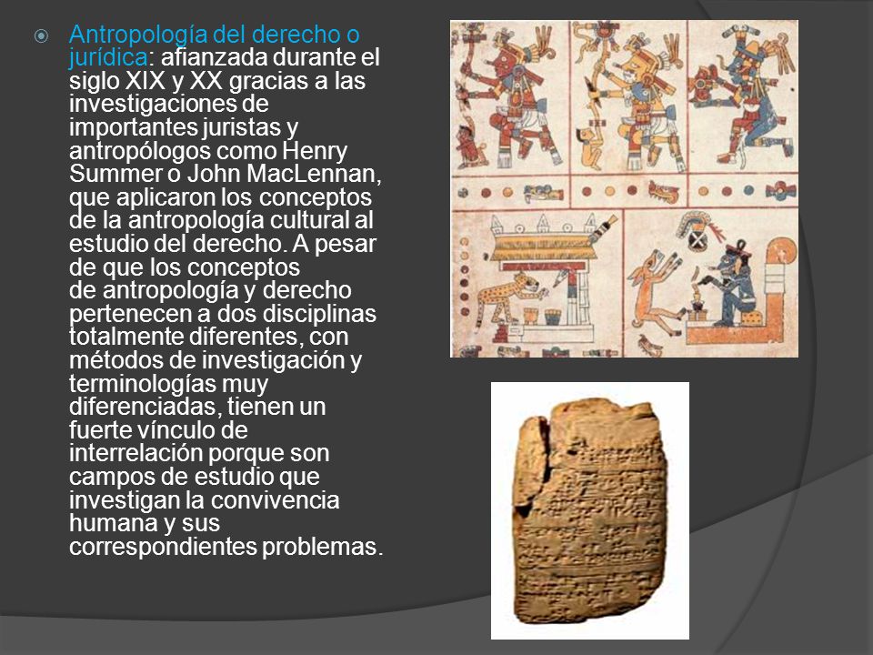 Antropología del derecho o jurídica: afianzada durante el siglo XIX y XX gracias a las investigaciones de importantes juristas y antropólogos como Henry Summer o John MacLennan, que aplicaron los conceptos de la antropología cultural al estudio del derecho.