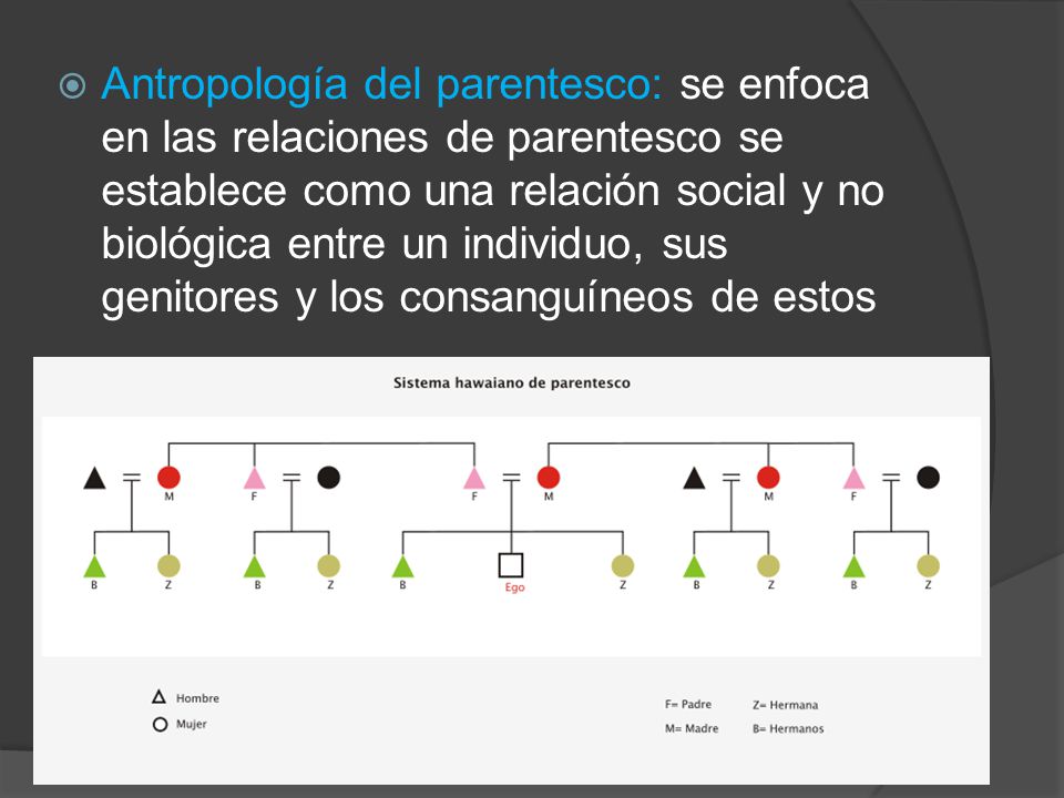 Antropología del parentesco: se enfoca en las relaciones de parentesco se establece como una relación social y no biológica entre un individuo, sus genitores y los consanguíneos de estos
