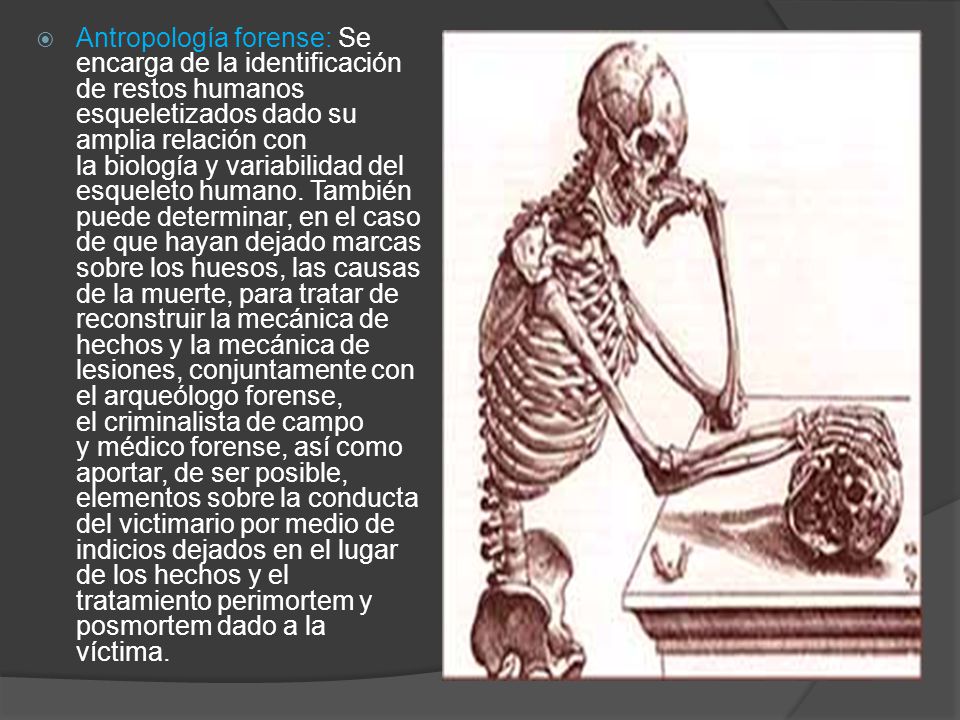 Antropología forense: Se encarga de la identificación de restos humanos esqueletizados dado su amplia relación con la biología y variabilidad del esqueleto humano.