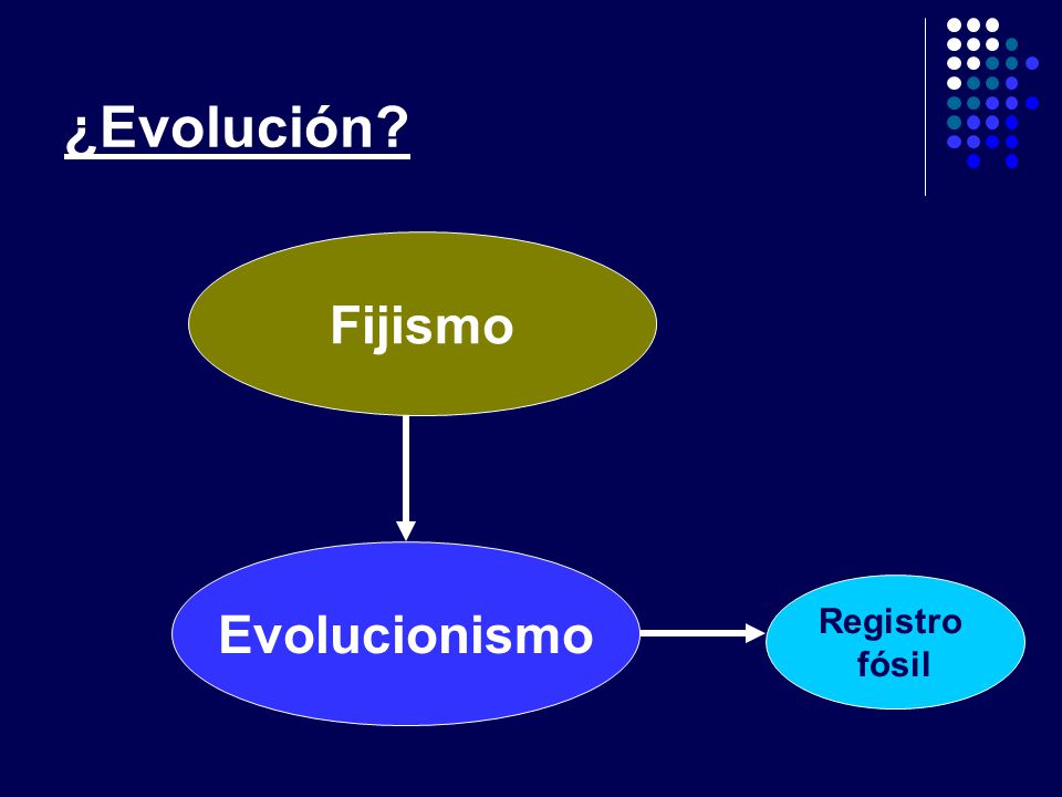 ¿Evolución Fijismo Evolucionismo Registro fósil