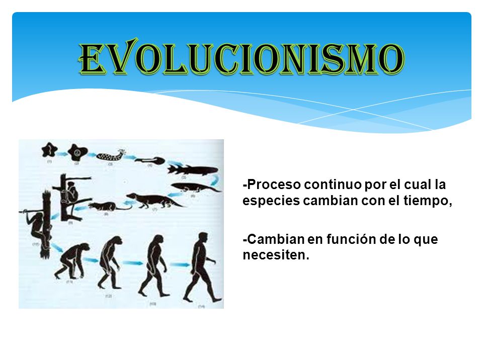 evolucionismo -Proceso continuo por el cual la especies cambian con el tiempo, -Cambian en función de lo que necesiten.