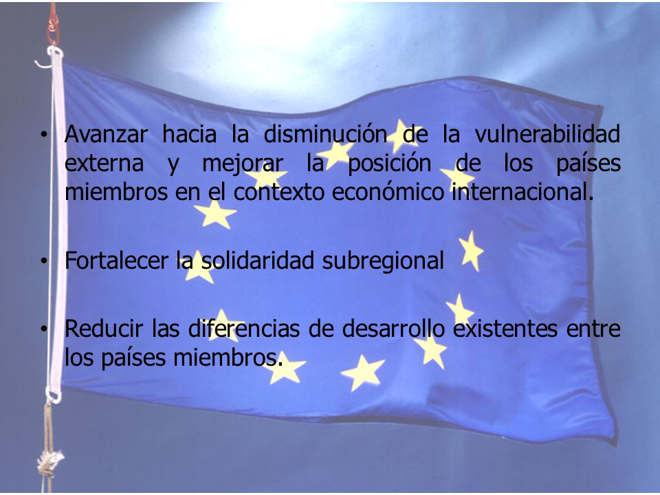 Avanzar hacia la disminución de la vulnerabilidad externa y mejorar la posición de los países miembros en el contexto económico internacional.