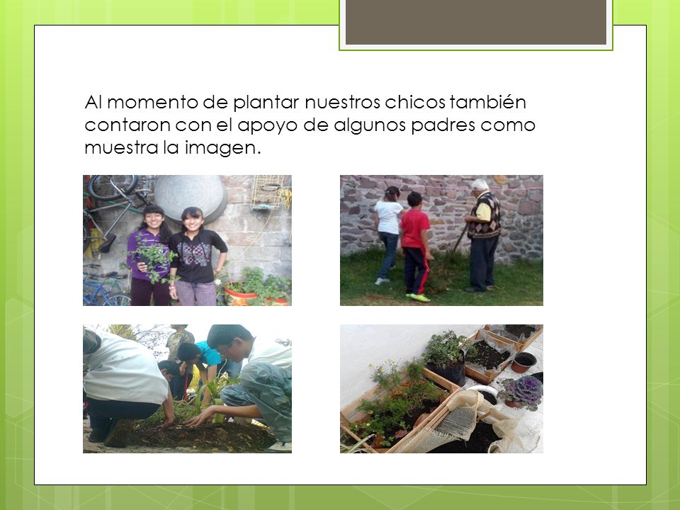 Al momento de plantar nuestros chicos también contaron con el apoyo de algunos padres como muestra la imagen.