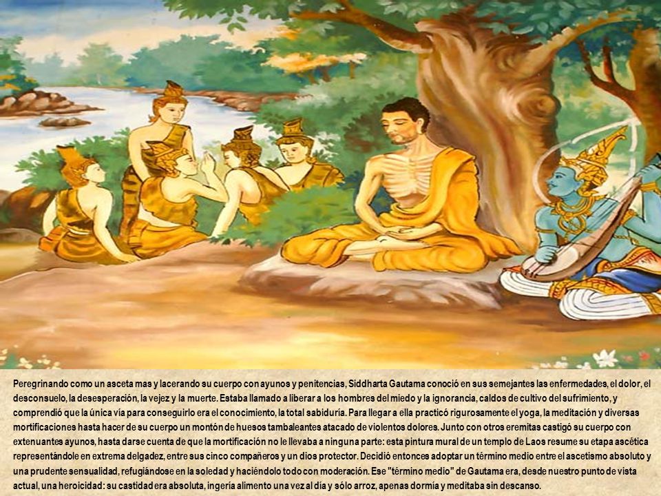 Peregrinando como un asceta mas y lacerando su cuerpo con ayunos y penitencias, Siddharta Gautama conoció en sus semejantes las enfermedades, el dolor, el desconsuelo, la desesperación, la vejez y la muerte.