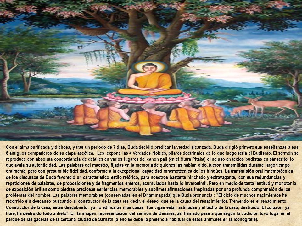Con el alma purificada y dichosa, y tras un periodo de 7 días, Buda decidió predicar la verdad alcanzada.