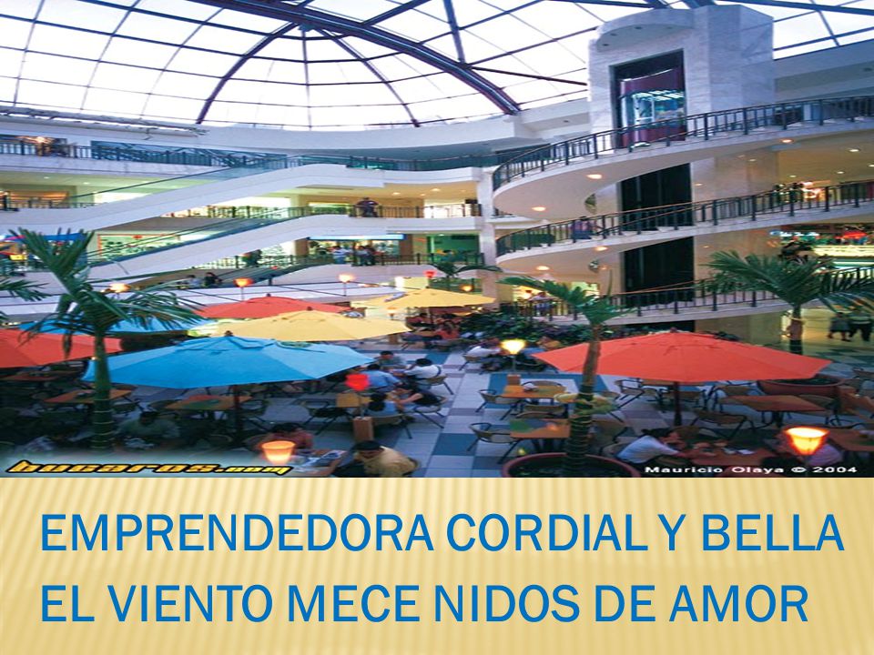 EMPRENDEDORA CORDIAL Y BELLA EL VIENTO MECE NIDOS DE AMOR