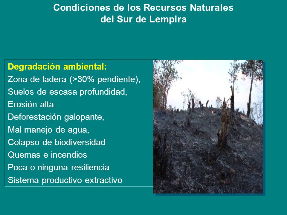 Condiciones de los Recursos Naturales