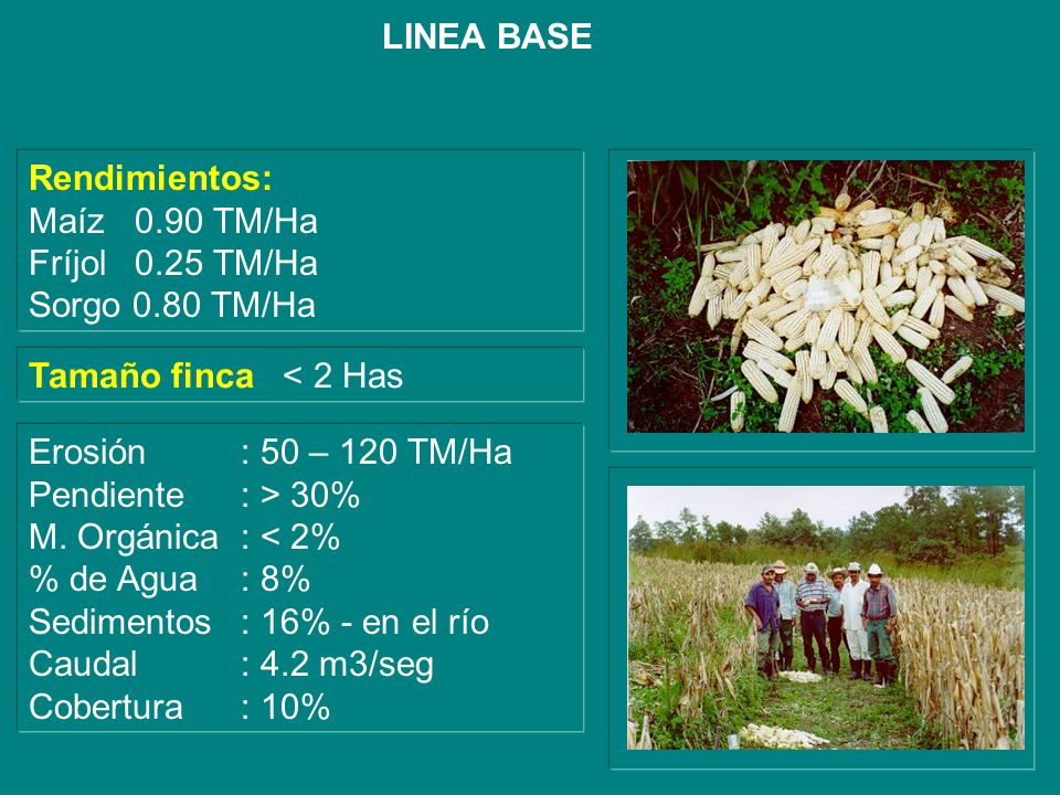 LINEA BASE Rendimientos: Maíz 0.90 TM/Ha. Fríjol 0.25 TM/Ha. Sorgo 0.80 TM/Ha. Tamaño finca < 2 Has.