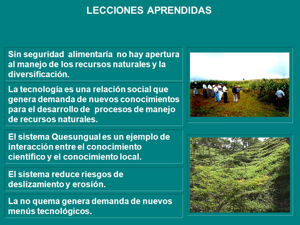 LECCIONES APRENDIDAS Sin seguridad alimentaría no hay apertura al manejo de los recursos naturales y la diversificación.