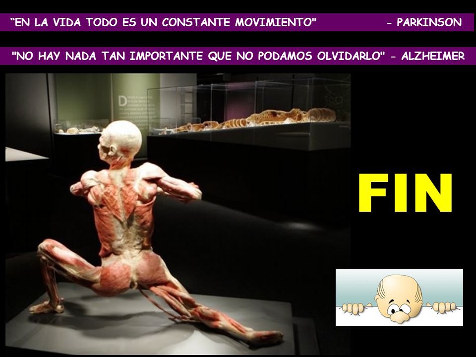 FIN EN LA VIDA TODO ES UN CONSTANTE MOVIMIENTO - PARKINSON