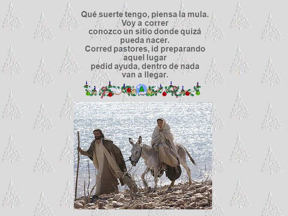 Qué suerte tengo, piensa la mula. Voy a correr