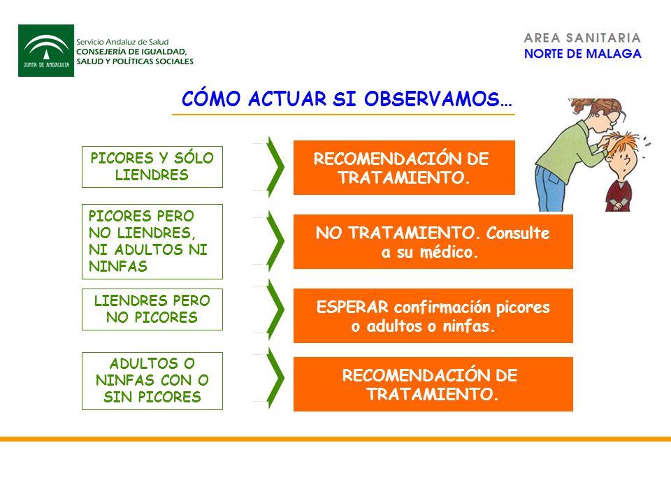 CÓMO ACTUAR SI OBSERVAMOS…