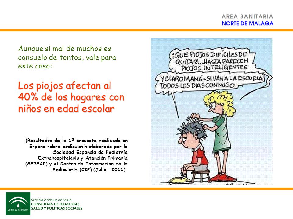 Los piojos afectan al 40% de los hogares con niños en edad escolar