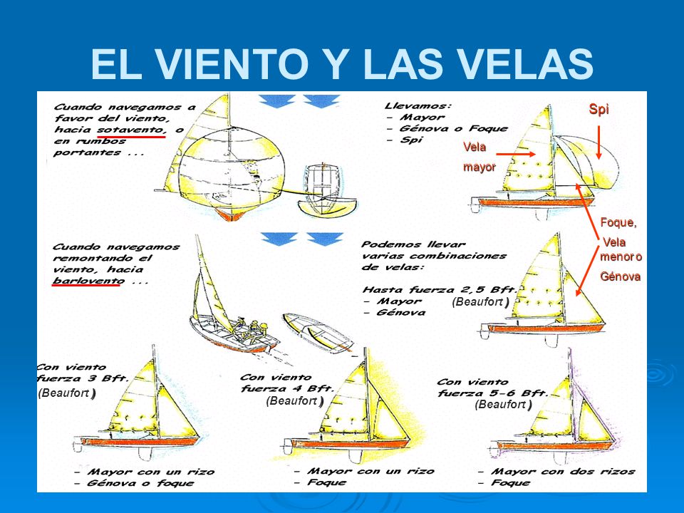 EL VIENTO Y LAS VELAS Spi Vela mayor Foque, Vela menor o Génova