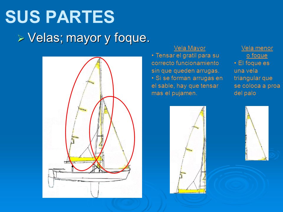 SUS PARTES Velas; mayor y foque. Vela Mayor