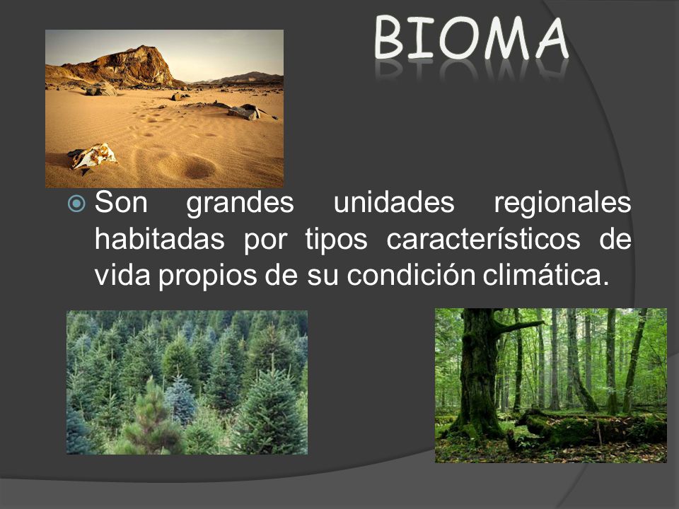 BIOMA Son grandes unidades regionales habitadas por tipos característicos de vida propios de su condición climática.