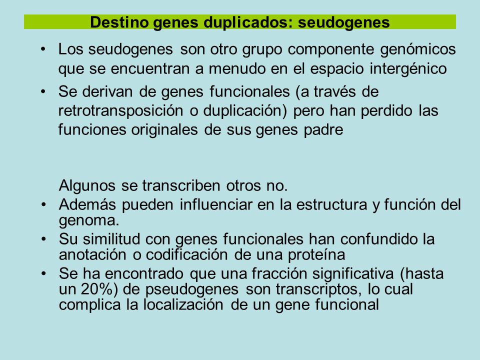 Destino genes duplicados: seudogenes