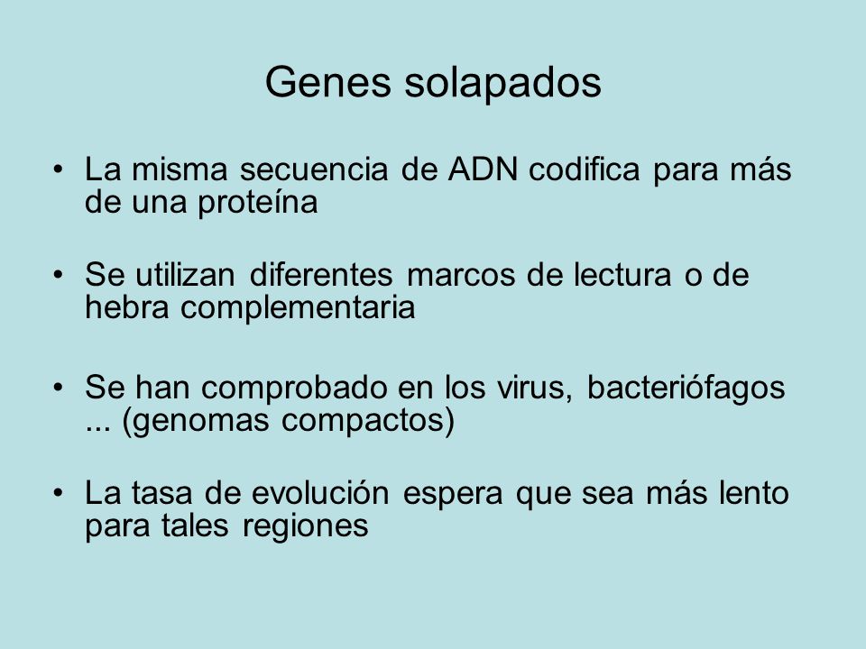Genes solapados La misma secuencia de ADN codifica para más de una proteína. Se utilizan diferentes marcos de lectura o de hebra complementaria.