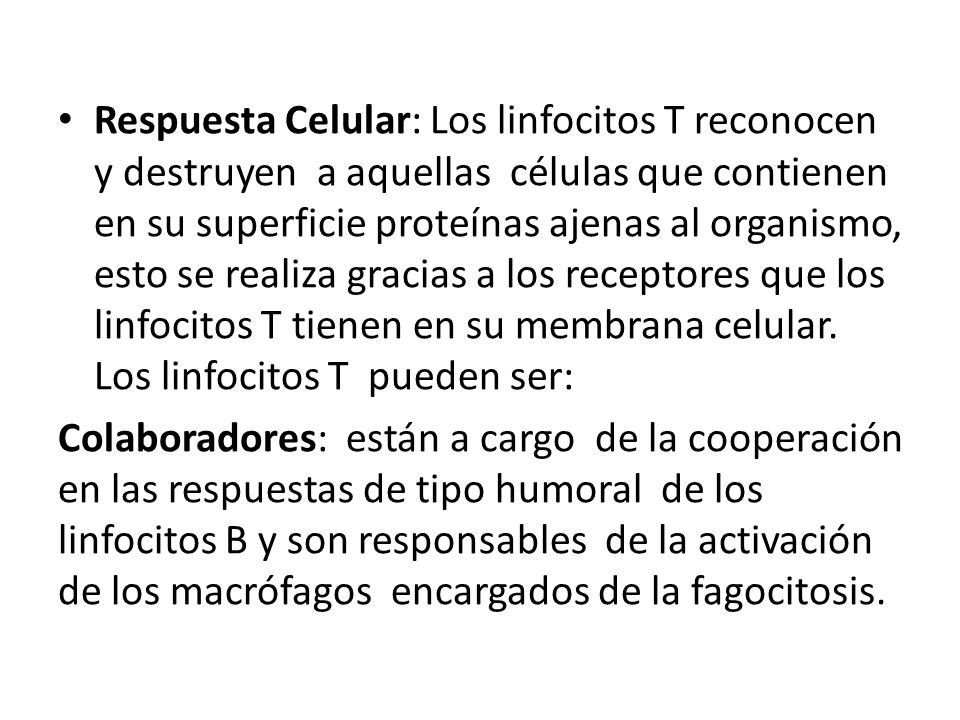 Respuesta Celular: Los linfocitos T reconocen y destruyen a aquellas células que contienen en su superficie proteínas ajenas al organismo, esto se realiza gracias a los receptores que los linfocitos T tienen en su membrana celular. Los linfocitos T pueden ser: