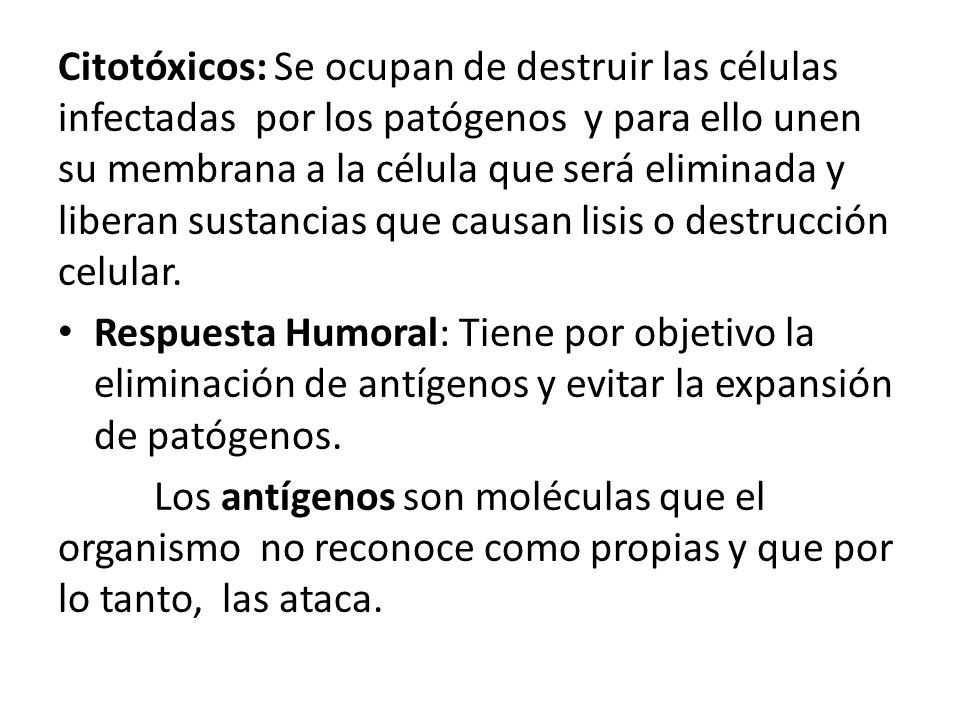 Citotóxicos: Se ocupan de destruir las células infectadas por los patógenos y para ello unen su membrana a la célula que será eliminada y liberan sustancias que causan lisis o destrucción celular.