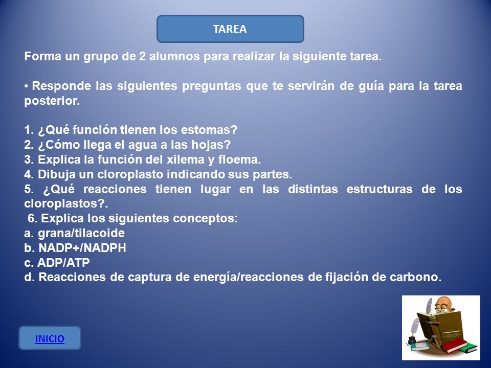 Forma un grupo de 2 alumnos para realizar la siguiente tarea.