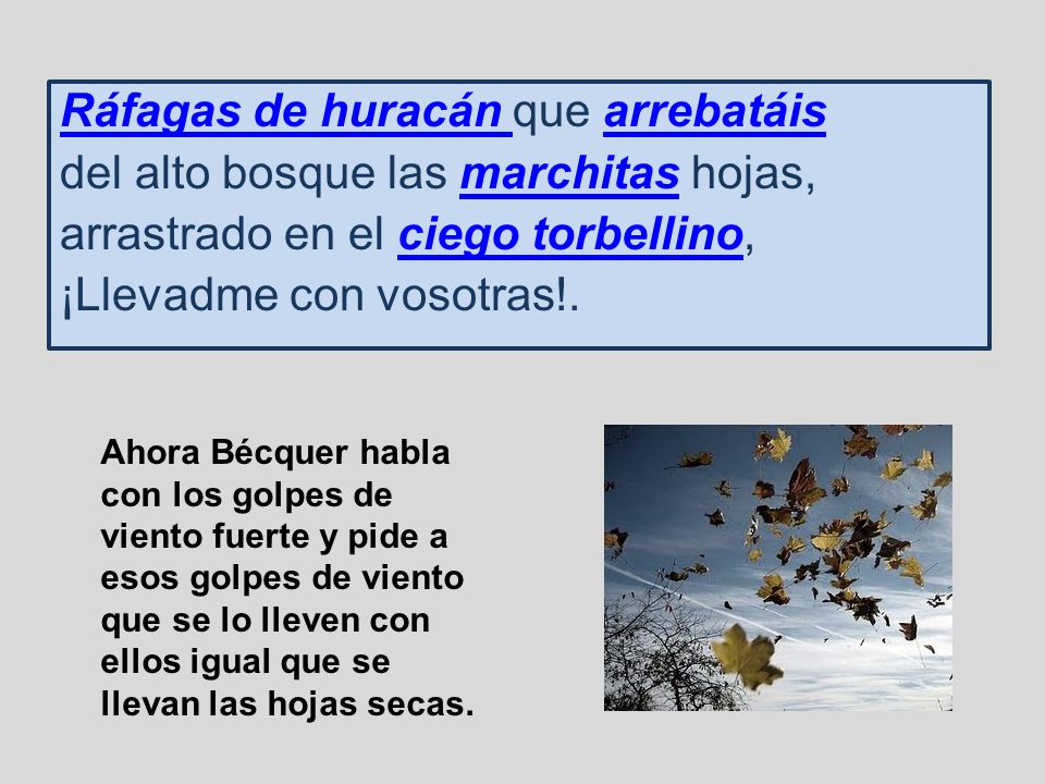 Ráfagas de huracán que arrebatáis del alto bosque las marchitas hojas,
