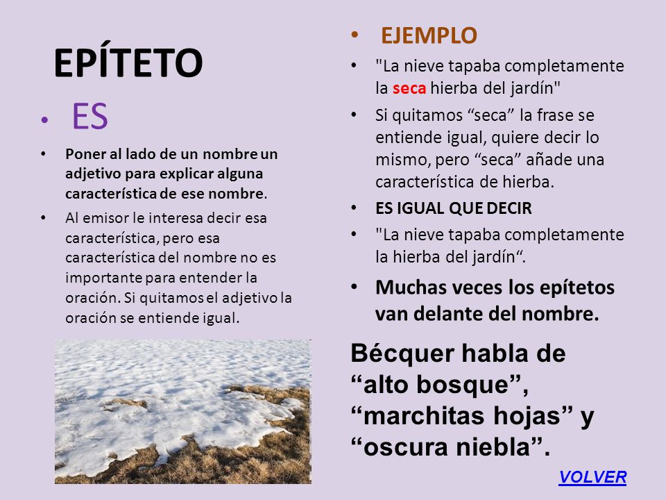 EJEMPLO La nieve tapaba completamente la seca hierba del jardín