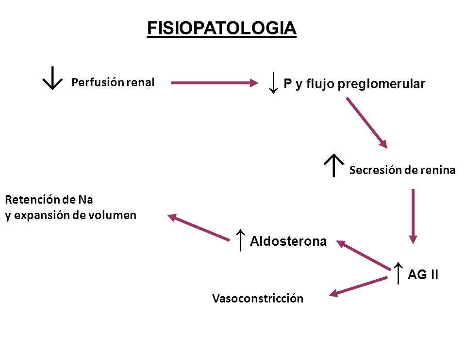 ↓ Perfusión renal ↑ Secresión de renina ↓ P y flujo preglomerular