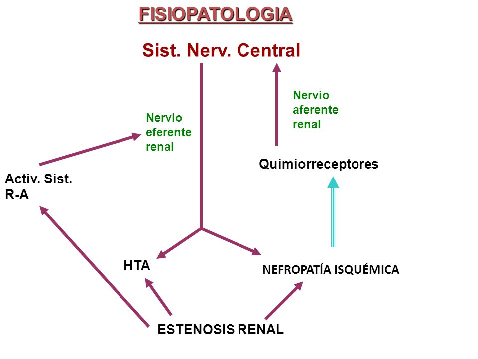 FISIOPATOLOGIA Sist. Nerv. Central Quimiorreceptores Activ. Sist. R-A