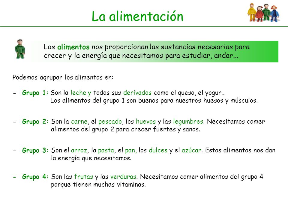 La alimentación Los alimentos nos proporcionan las sustancias necesarias para crecer y la energía que necesitamos para estudiar, andar...