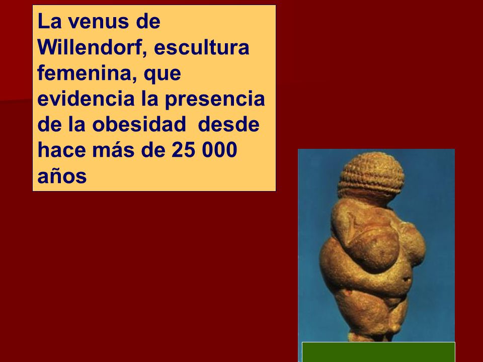 La venus de Willendorf, escultura femenina, que evidencia la presencia de la obesidad desde hace más de años